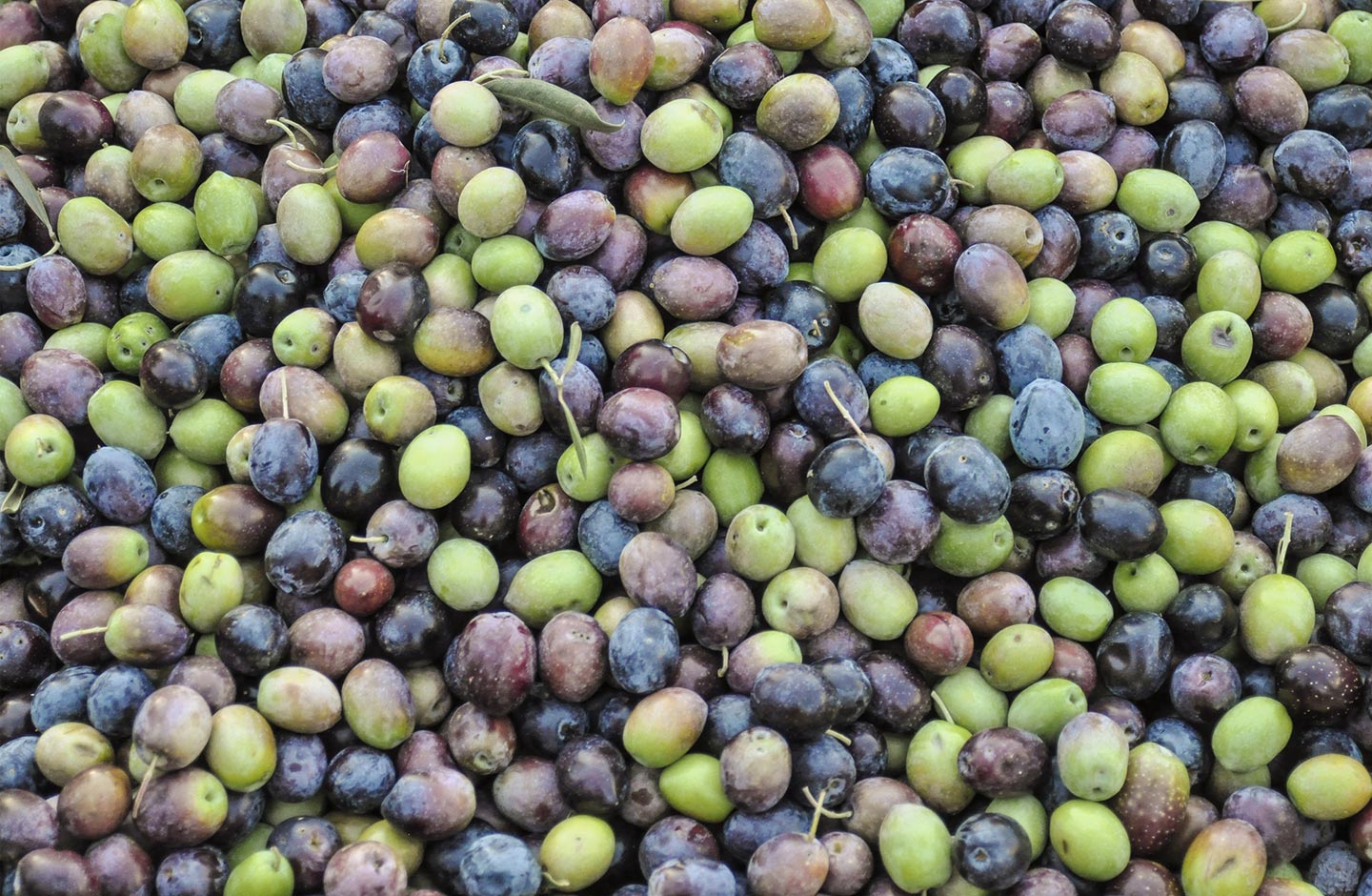 Una esperienza da gustare