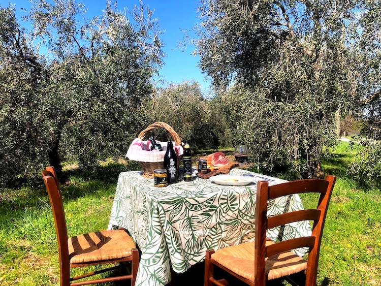Degustazione con picnic