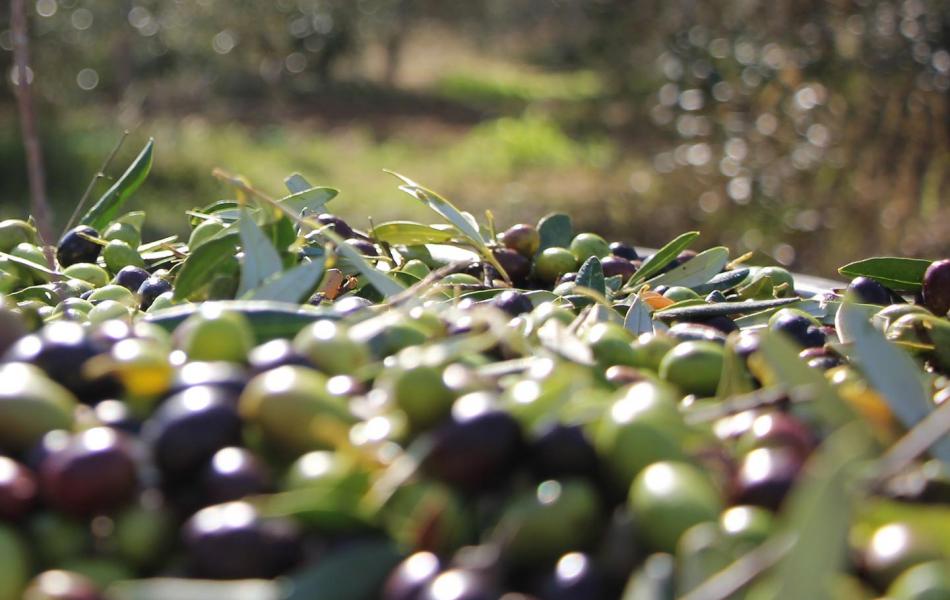 Una esperienza da gustare