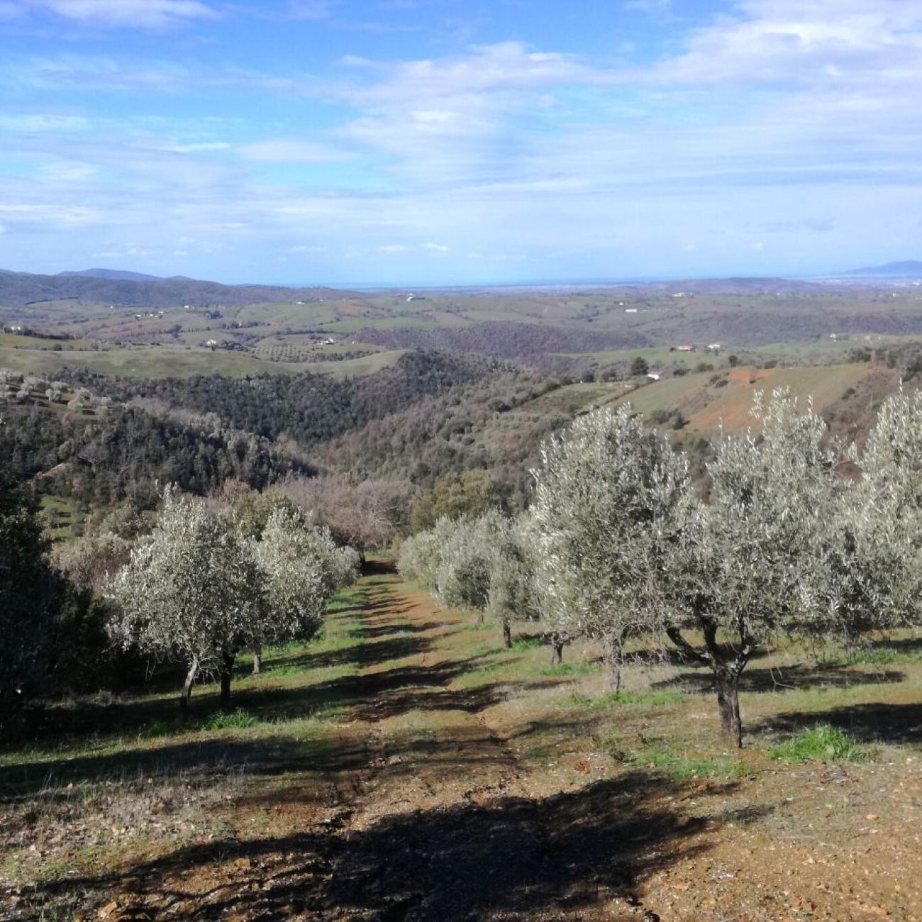 Le nostre Partnership