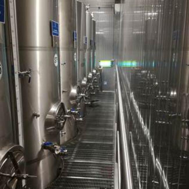 Olio IGP Terra Nera - Produzione