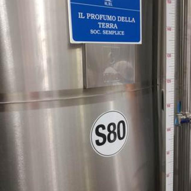 Olio IGP Terra Nera - Produzione