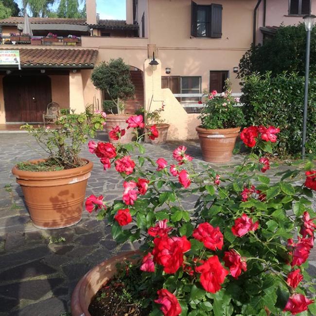 Agriturismo Terra Nera