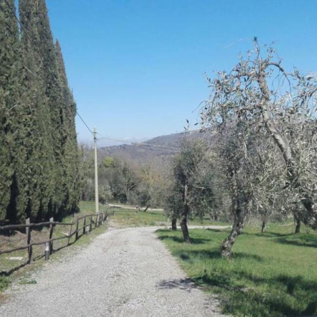 Agriturismo Terra Nera
