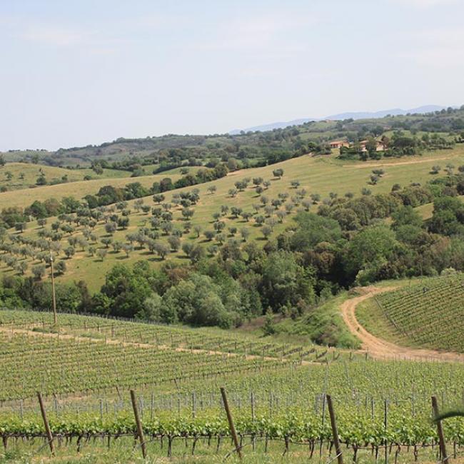 Agriturismo Terra Nera