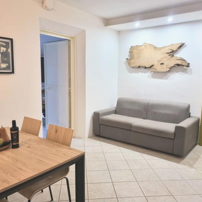 Olio Terra Nera Agriturismo Appartamento Leccino in Toscana