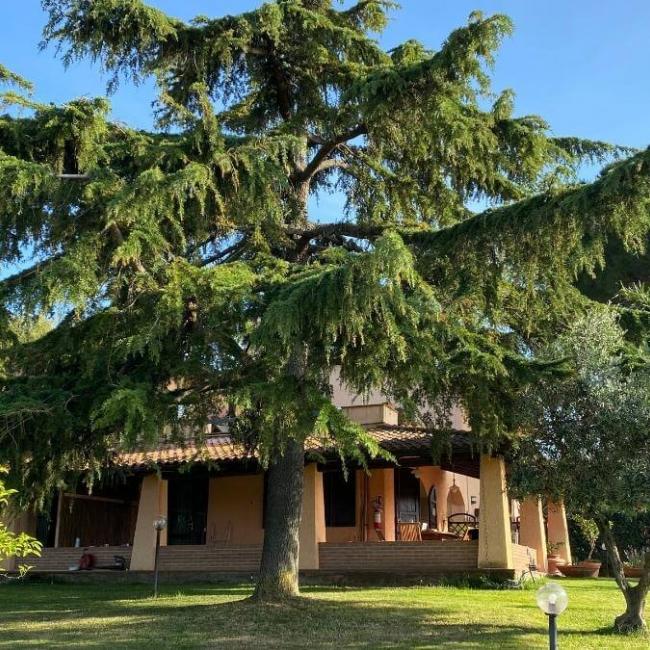 Agriturismo Terra Nera